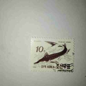 DPR KOREA 10 POSTAGE , ACIPENSER MIKADOI 1990 STAMP DPR KOREA 10 POSTAGE , ACIPENSER MIKADOI 1990 STAMP