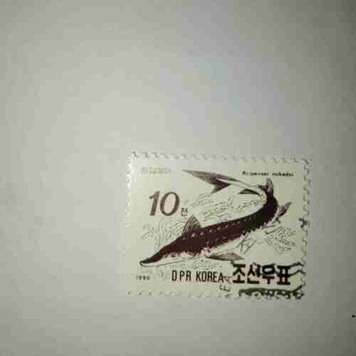 DPR KOREA 10 POSTAGE , ACIPENSER MIKADOI 1990 STAMP DPR KOREA 10 POSTAGE , ACIPENSER MIKADOI 1990 STAMP