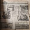 Bal Bhaskar ( 1st December 2000 )