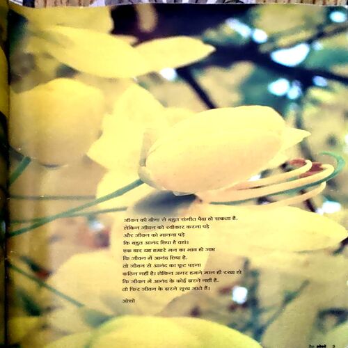 Document 42_116 Yass Osho (April 2016)