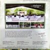 Osho World (June 2011)