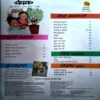 Document 43_155 Champak (may 1st 2024)