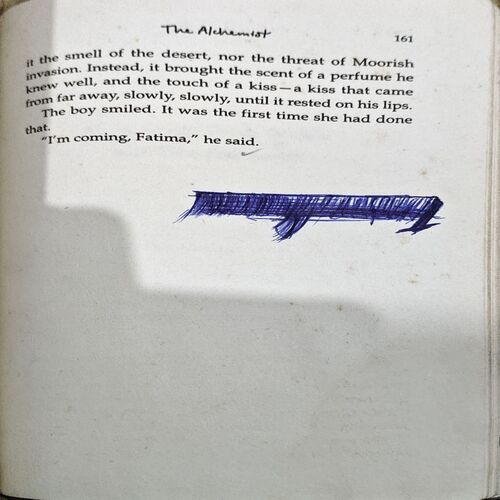 Document 44_81 The Alchemist (pages 162)