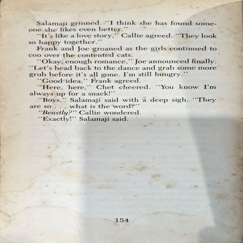 Document 44_97 The Hardy Boys (pages 154)