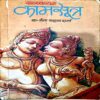 Document 45_141 Kaamsutra (pages 228)