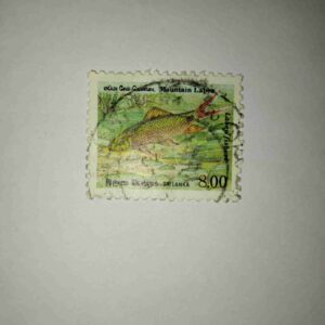 MOUNTAIN LABEO LABEO FISHERI 8.00 POSTAGE STAMP 1990 MOUNTAIN LABEO LABEO FISHERI 8.00 POSTAGE STAMP 1990