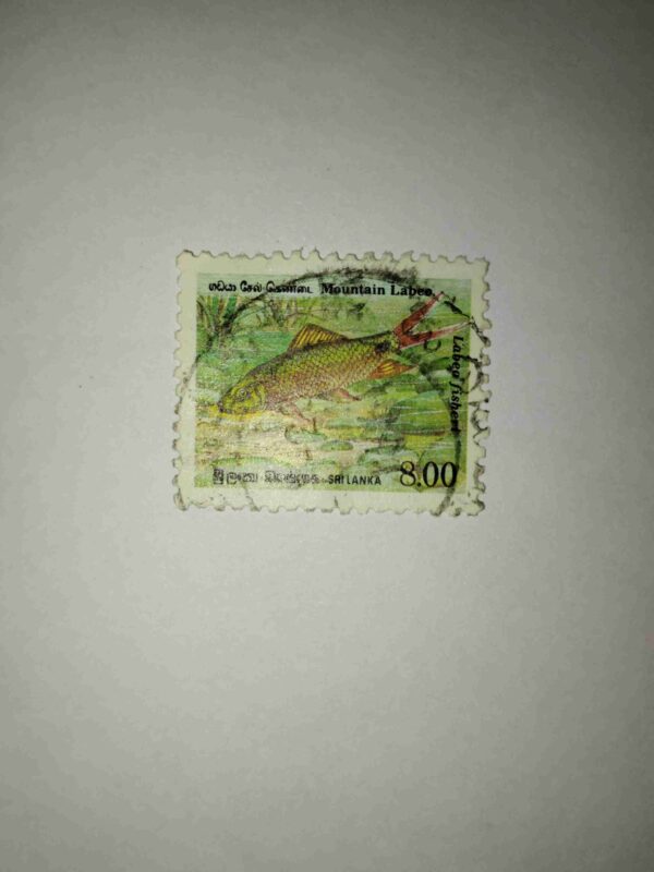 MOUNTAIN LABEO LABEO FISHERI 8.00 POSTAGE STAMP 1990 MOUNTAIN LABEO LABEO FISHERI 8.00 POSTAGE STAMP 1990