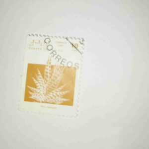SAHARA OCC. R.A.S.D. 10PTAS POSTAGE , 1992 CORREOS STAMP SAHARA OCC. R.A.S.D. 10PTAS POSTAGE , 1992 CORREOS STAMP