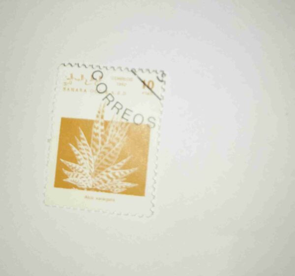 SAHARA OCC. R.A.S.D. 10PTAS POSTAGE , 1992 CORREOS STAMP SAHARA OCC. R.A.S.D. 10PTAS POSTAGE , 1992 CORREOS STAMP