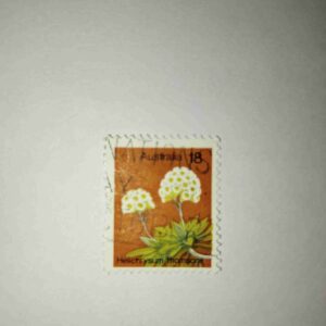 AUSTRALIA 18Cent POSTAGE , HELICHRYSUM THOMSONII STAMP AUSTRALIA 18Cent POSTAGE , HELICHRYSUM THOMSONII STAMP