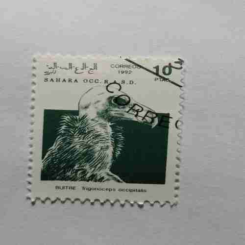 SAHARA OCC. R.A.S.D. 10PTAS POSTAGE , 1992 CORREOS STAMP SAHARA OCC. R.A.S.D. 10PTAS POSTAGE , 1992 CORREOS STAMP