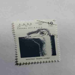 SAHARA OCC. R.A.S.D. 10PTAS POSTAGE , 1992 CORREOS STAMP SAHARA OCC. R.A.S.D. 10PTAS POSTAGE , 1992 CORREOS STAMP