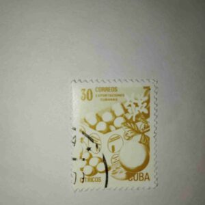 CUBA CITRICOS 30 CORREOS POSTAGE , EXPORTACIONES CUBANAS 1982 STAMP CUBA CITRICOS 30 CORREOS POSTAGE , EXPORTACIONES CUBANAS 1982 STAMP