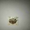NEPAL 5Paisa POSTAGE STAMP NEPAL 5Paisa POSTAGE STAMP