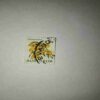 AUSTRALIA 5Cent POSTAGE , GOLDEN WATTLE STAMP AUSTRALIA 5Cent POSTAGE , GOLDEN WATTLE STAMP