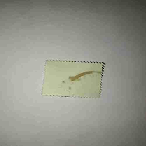 BANGLADESH 25P POSTAGE STAMP BANGLADESH 25P POSTAGE STAMP