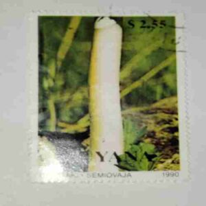 GUYANA POSTAGE STAMP GUYANA POSTAGE STAMP