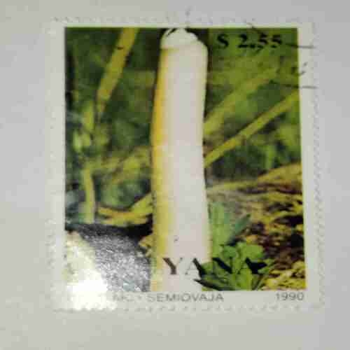 GUYANA POSTAGE STAMP GUYANA POSTAGE STAMP