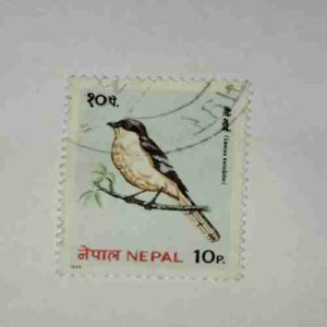 NEPAL 10Paisa POSTAGE STAMP NEPAL 10Paisa POSTAGE STAMP
