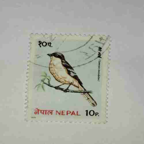 NEPAL 10Paisa POSTAGE STAMP NEPAL 10Paisa POSTAGE STAMP