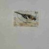 SWITZERLAND POSTAGE STAMP SWITZERLAND POSTAGE STAMP
