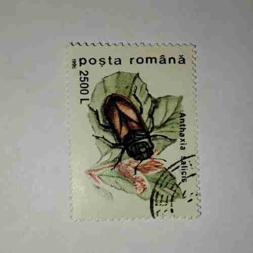 POSTA ROMANA STAMP 2500L POSTA ROMANA STAMP 2500L