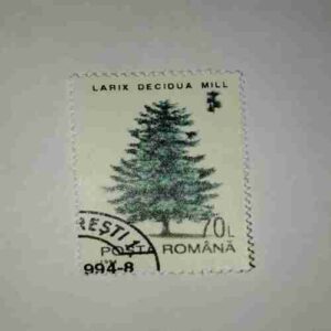 POSTA ROMANA STAMP 70L5 POSTA ROMANA STAMP 70L