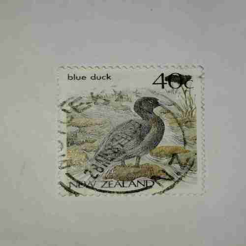 NEW ZEALAND 40Cent POSTAGE STAMP , BLUE DUCK NEW ZEALAND 40Cent POSTAGE STAMP , BLUE DUCK