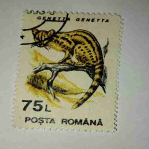 Document 6_211 POSTA ROMANA STAMP 75L