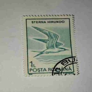 POSTA ROMANA STAMP 1L POSTA ROMANA STAMP 1L