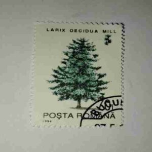 POSTA ROMANA STAMP 1984 POSTA ROMANA STAMP 1984