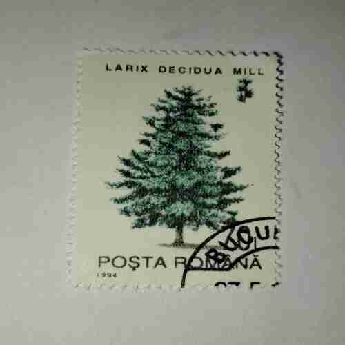 POSTA ROMANA STAMP 1984 POSTA ROMANA STAMP 1984