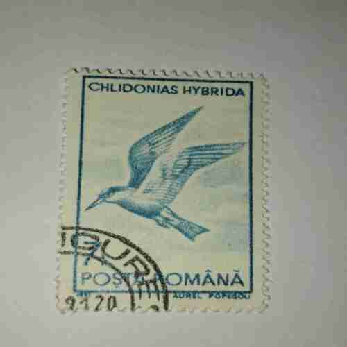 POSTA ROMANA STAMP POSTA ROMANA STAMP