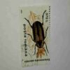 POSTA ROMANA STAMP 370L POSTA ROMANA STAMP 370L