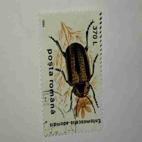 POSTA ROMANA STAMP 370L POSTA ROMANA STAMP 370L