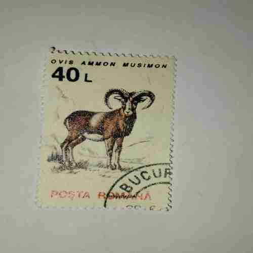 POSTA ROMANA STAMP 40L POSTA ROMANA STAMP 40L