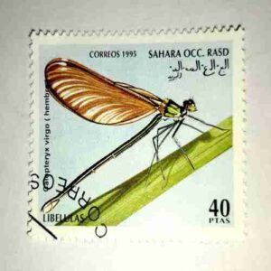 SAHARA OCC.RASD , CORREOS 1995 POSTAGE STAMP SAHARA OCC.RASD , CORREOS 1995 POSTAGE STAMP
