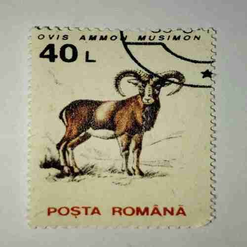 POSTA ROMANA STAMP 40L POSTA ROMANA STAMP 40L