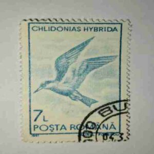 POSTA ROMANA STAMP 7L POSTA ROMANA STAMP 7L