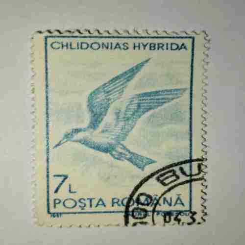 POSTA ROMANA STAMP 7L POSTA ROMANA STAMP 7L