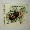 POSTA ROMANA STAMP 2500L POSTA ROMANA STAMP 2500L