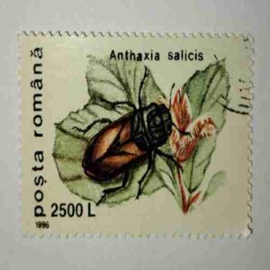 POSTA ROMANA STAMP 2500L POSTA ROMANA STAMP 2500L