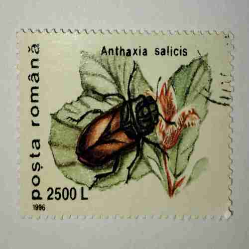 POSTA ROMANA STAMP 2500L POSTA ROMANA STAMP 2500L