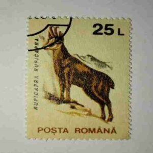 POSTA ROMANA STAMP 25L POSTA ROMANA STAMP 25L