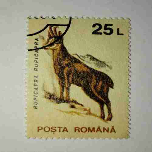 POSTA ROMANA STAMP 25L POSTA ROMANA STAMP 25L