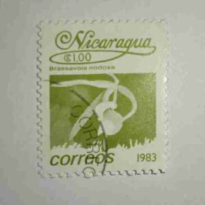 NICARAGUA 1.00$ POSTAGE STAMP , CORREOS 1983 NICARAGUA 1.00$ POSTAGE STAMP , CORREOS 1983