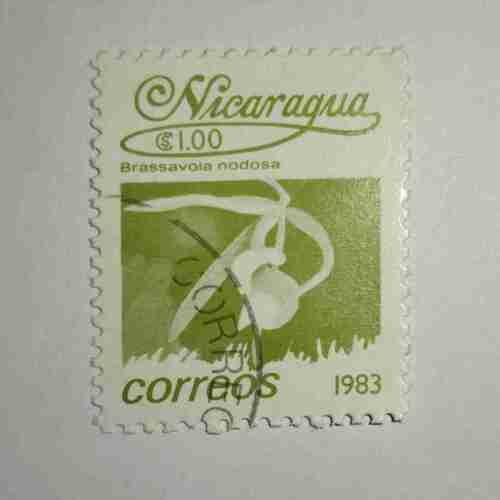 NICARAGUA 1.00$ POSTAGE STAMP , CORREOS 1983 NICARAGUA 1.00$ POSTAGE STAMP , CORREOS 1983