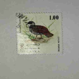 SRI LANKA POSTAGE STAMP 1.00 SRI LANKA POSTAGE STAMP 1.00