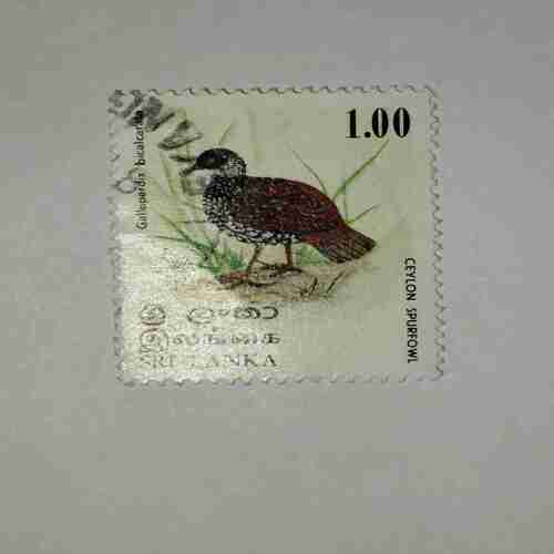SRI LANKA POSTAGE STAMP 1.00 SRI LANKA POSTAGE STAMP 1.00