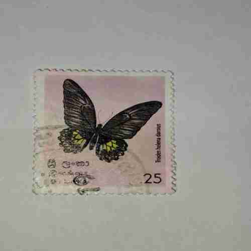 SRI LANKA POSTAGE STAMP 25 SRI LANKA POSTAGE STAMP 25